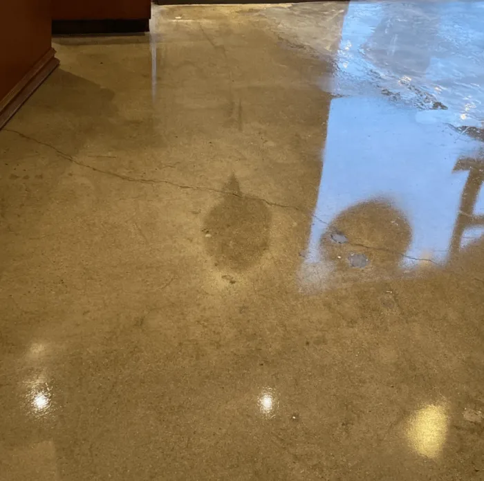 Gold metallic epoxy floor reflecting a window